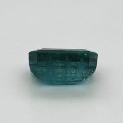 Emerald  (Panna) 6.69 Ct Certified